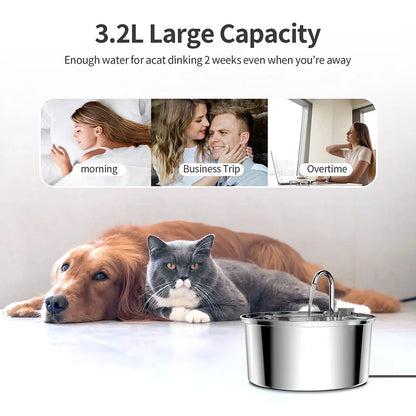 Stainless Steel Pet Water Feeder 